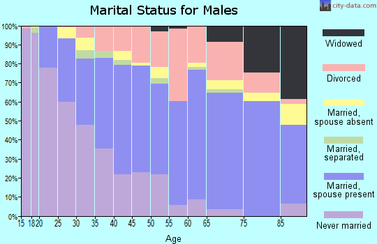 Pueblo County marital status for males