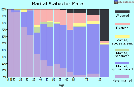 Manistee County marital status for males