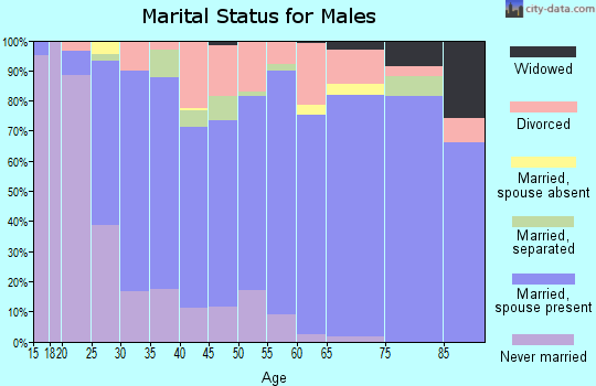 King William County marital status for males