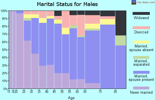 Oktibbeha County marital status for males