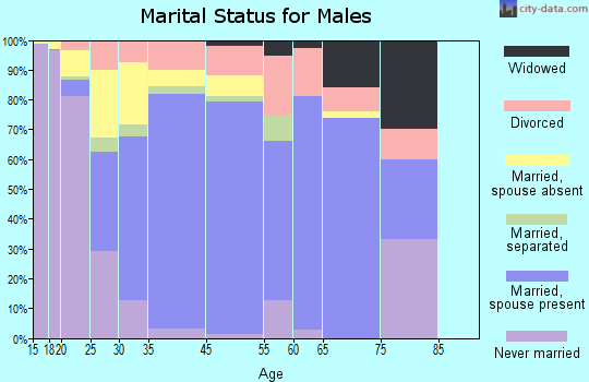 Bay County marital status for males