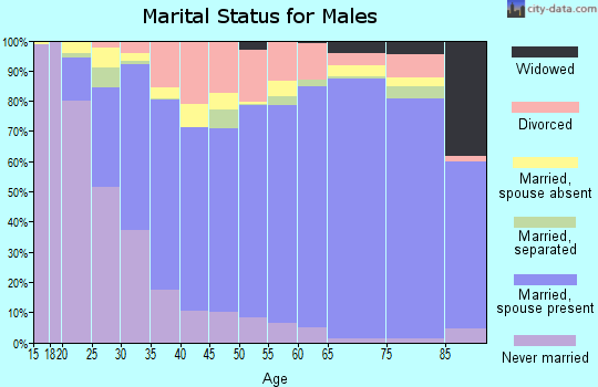Loudon County marital status for males