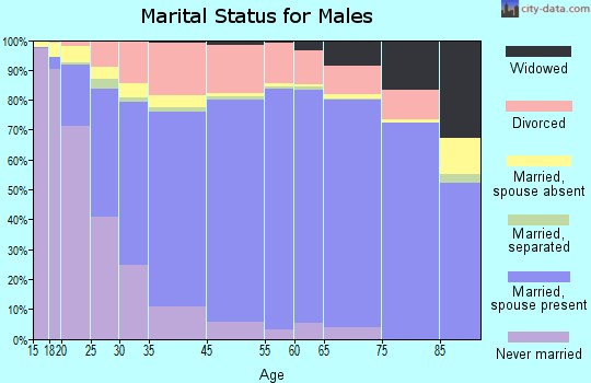 Anderson County marital status