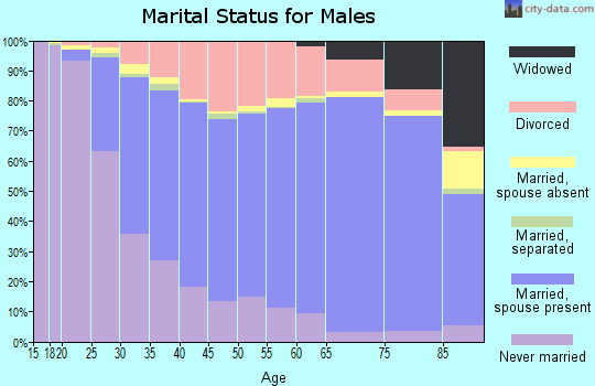 Rock County marital status for males