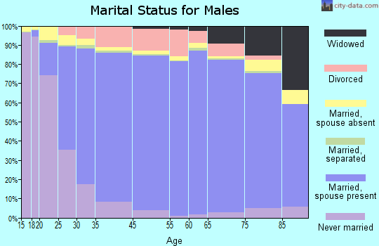 Chickasaw County marital status for males