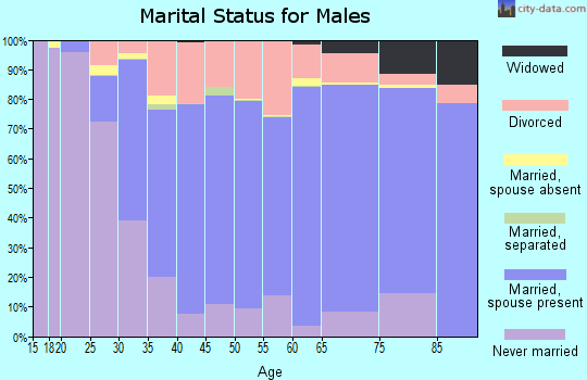 Mecosta County marital status for males