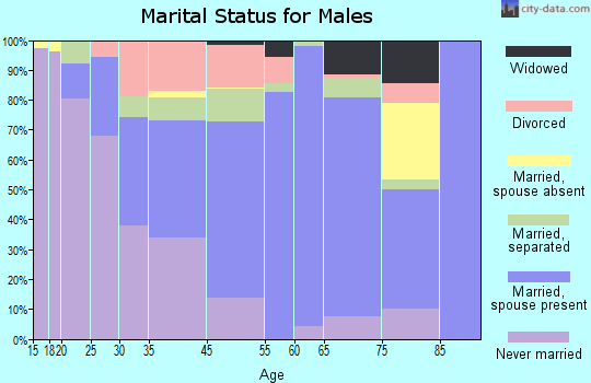 Custer County marital status for males