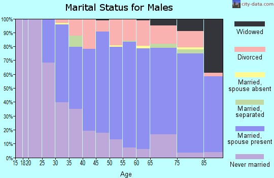 Norman County marital status for males