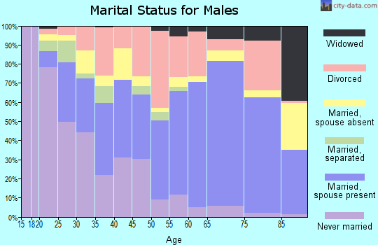 Okfuskee County marital status for males