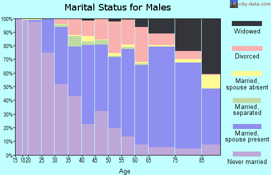 Schuylkill County marital status for males