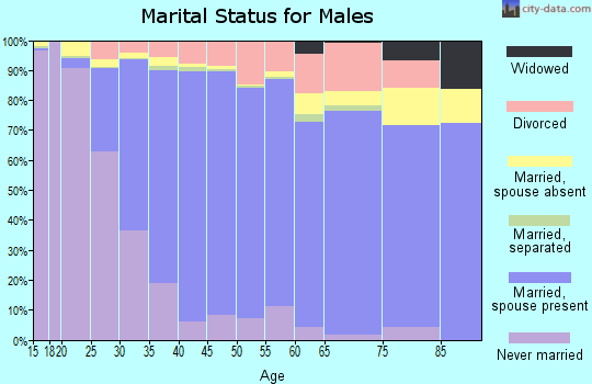 Loudoun County marital status for males