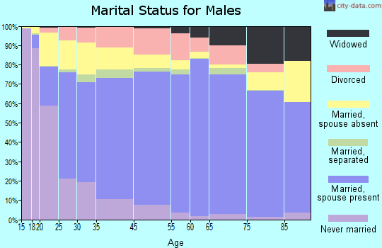Hudson County marital status for males