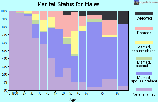 Brown County marital status for males