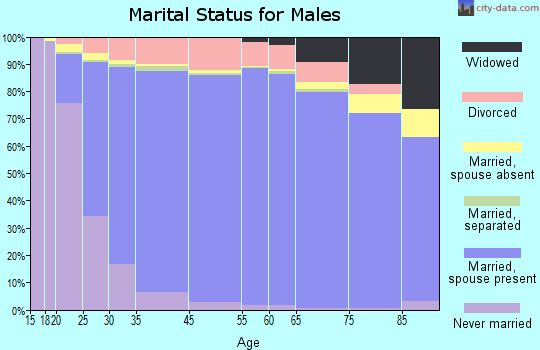 Chenango County marital status