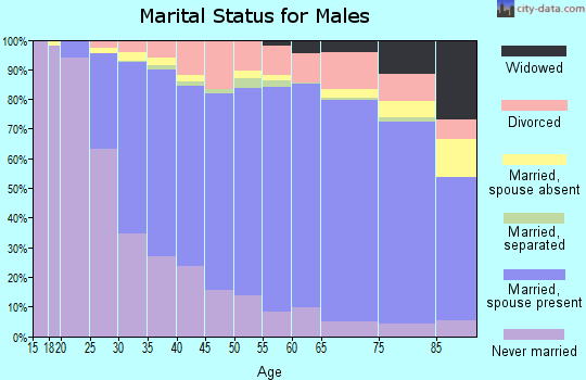 Olmsted County marital status for males