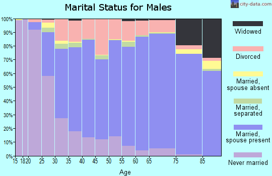 Snyder County marital status for males