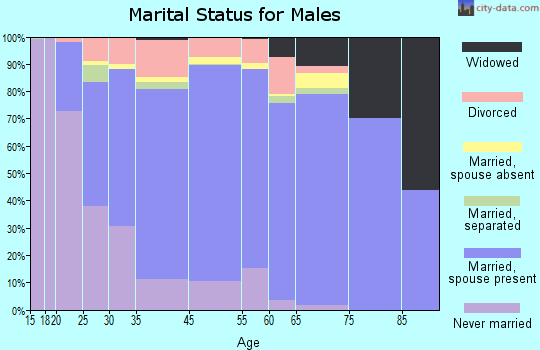 Audubon County marital status for males