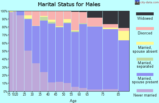 Midland County marital status for males