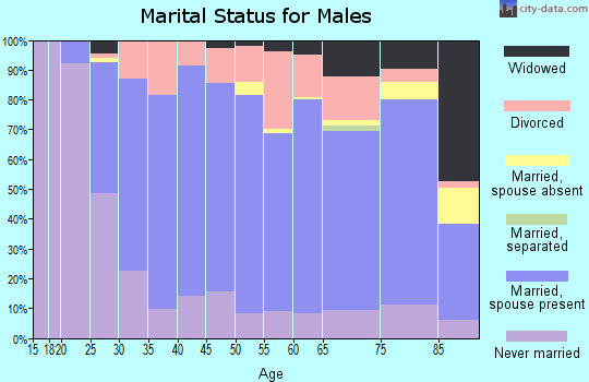 Lewis County marital status for males