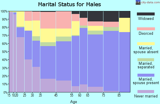 Bailey County marital status for males