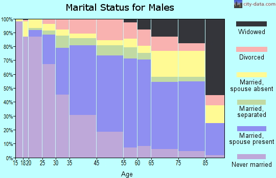 Addison County marital status for males