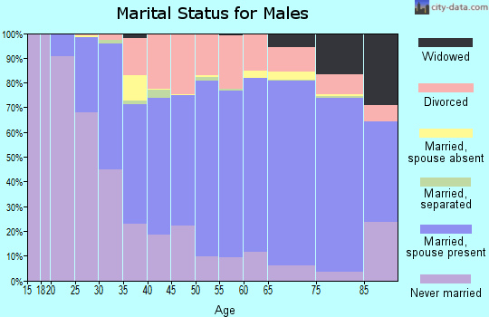 Sawyer County marital status for males