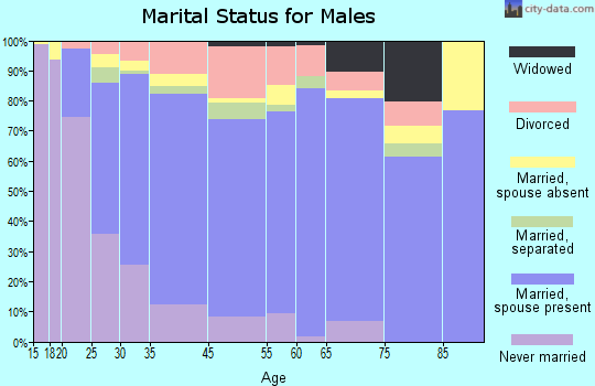 Chippewa County marital status for males