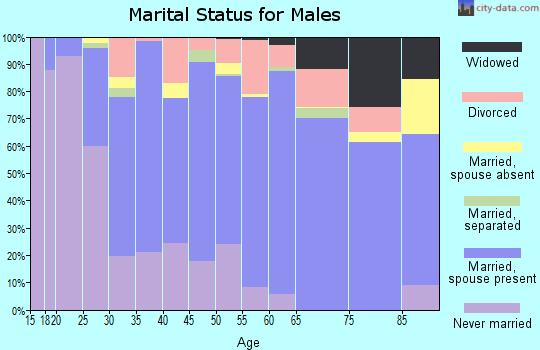 Louisa County marital status for males