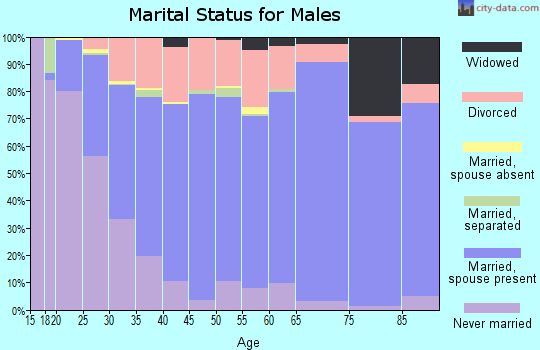 Johnson County marital status for males