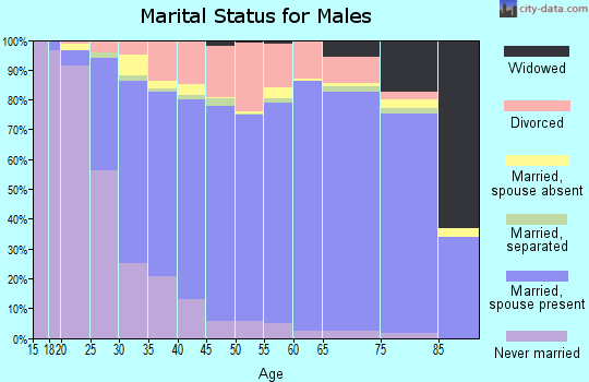 Shelby County marital status for males