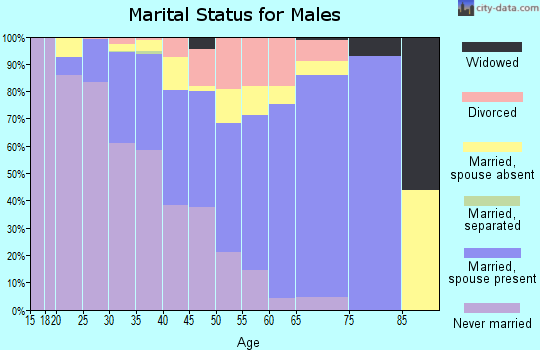 Summit County marital status for males