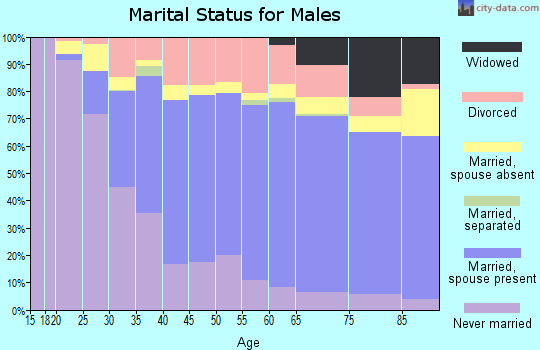 Seminole County marital status for males