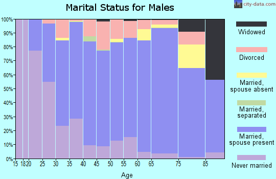 Pipestone County marital status for males