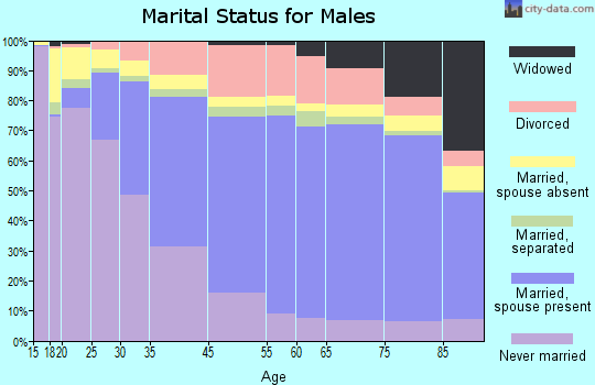 Clay County marital status for males