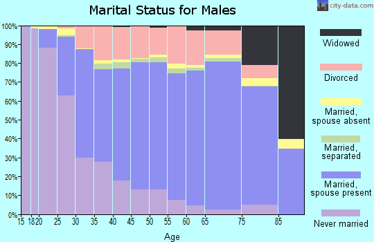 Tioga County marital status for males