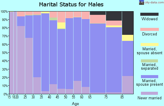 Lyon County marital status for males