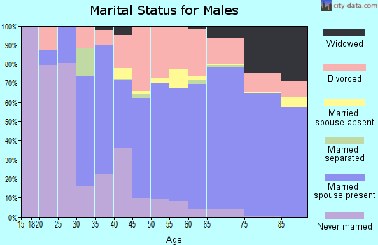 Montmorency County marital status for males