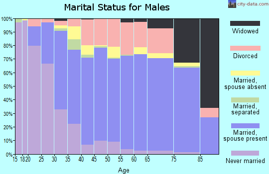 McDonald County marital status for males