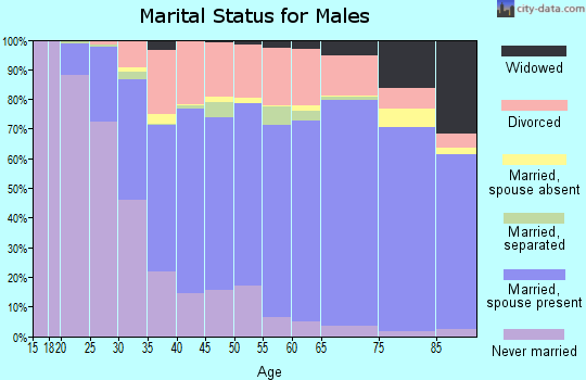 Muskingum County marital status for males