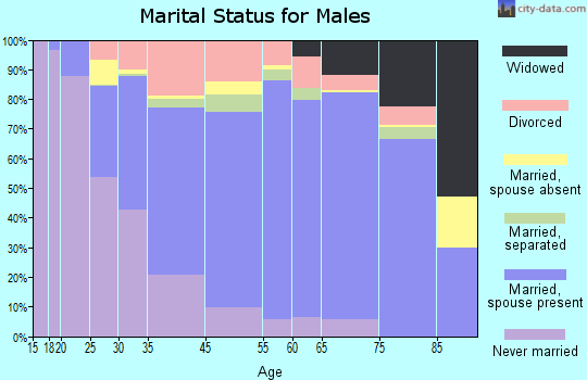Chautauqua County marital status for males