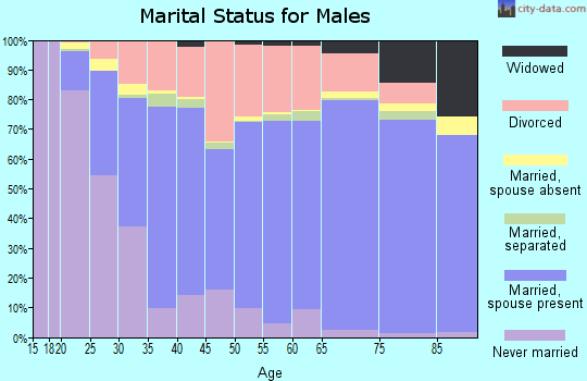 Maury County marital status for males
