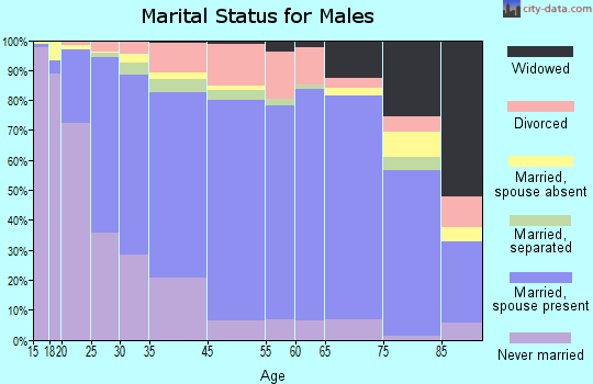 Adams County marital status for males