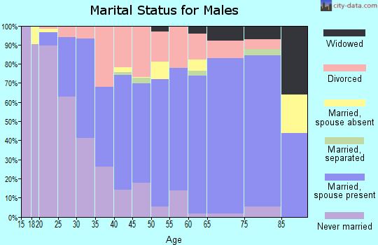 Parke County marital status for males
