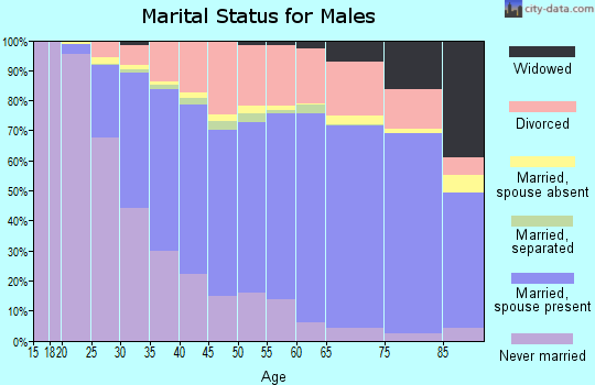 Muskegon County marital status for males