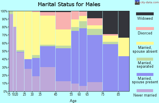 Dorchester County marital status for males