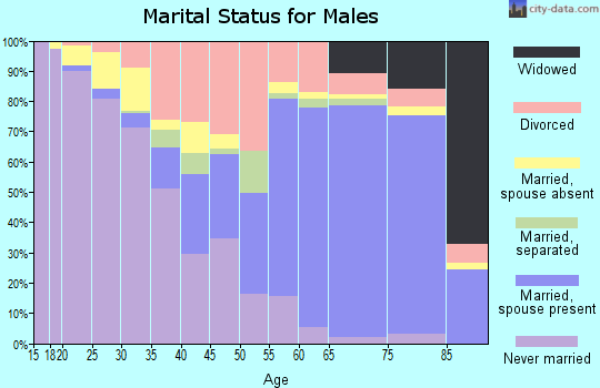 Noble County marital status for males