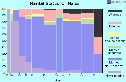 Benzie County marital status for males