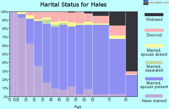 Denton County marital status for males
