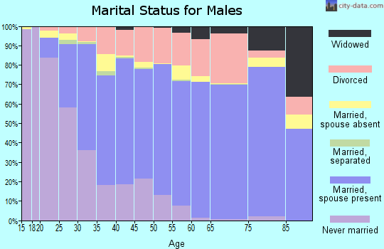 Weld County marital status for males
