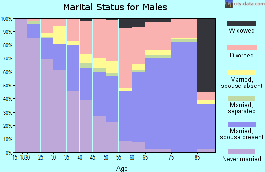 Taylor County marital status for males